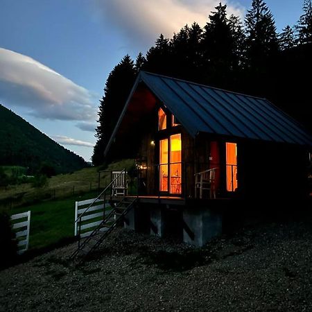 Bramble Tiny House Villa Zărneşti Eksteriør bilde