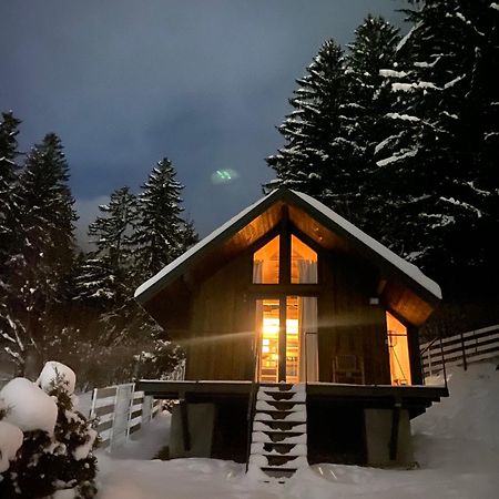 Bramble Tiny House Villa Zărneşti Eksteriør bilde