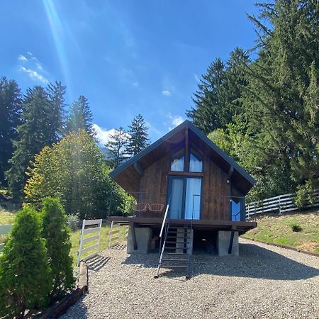 Bramble Tiny House Villa Zărneşti Eksteriør bilde