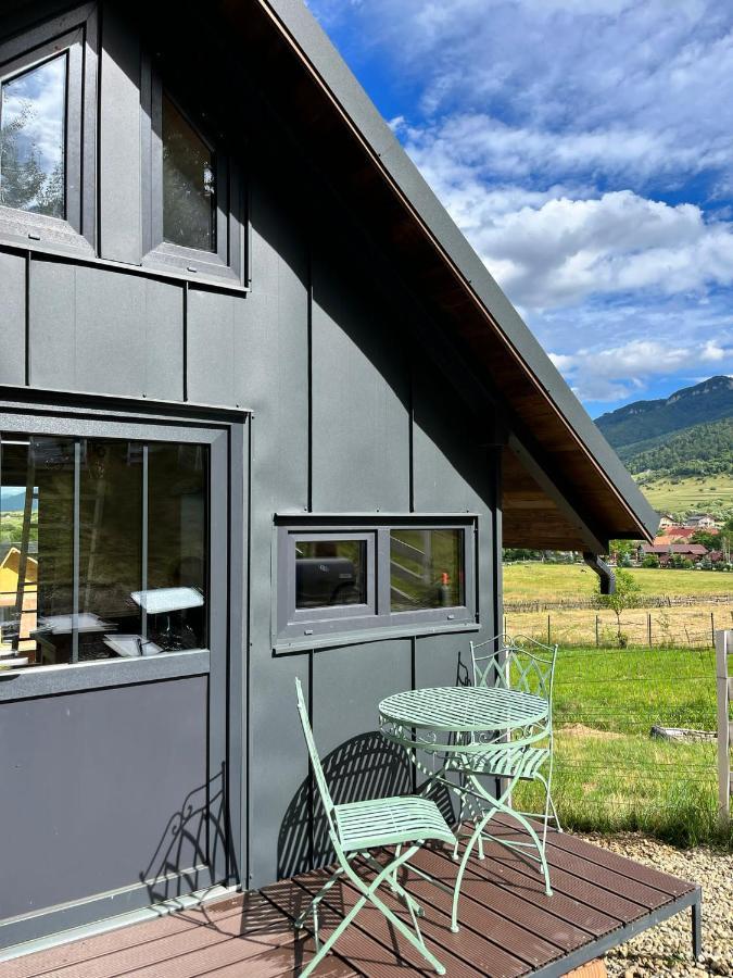 Bramble Tiny House Villa Zărneşti Eksteriør bilde