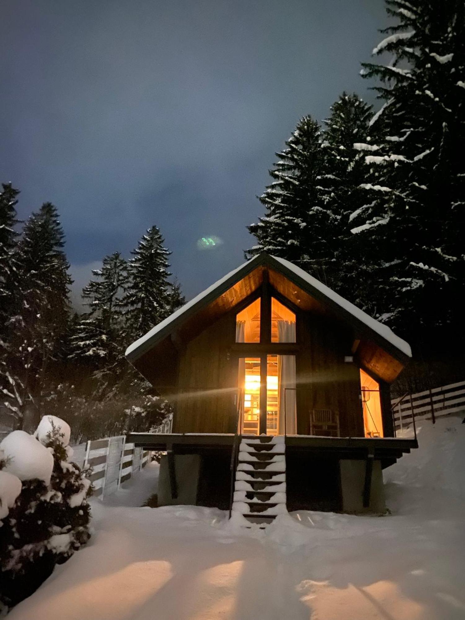 Bramble Tiny House Villa Zărneşti Eksteriør bilde